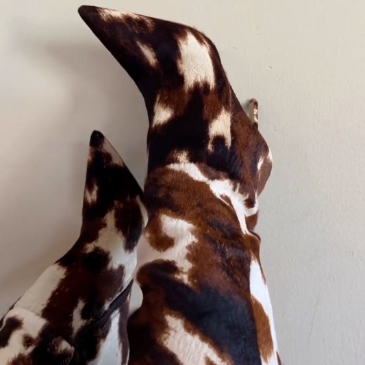 Leopard Long Boots